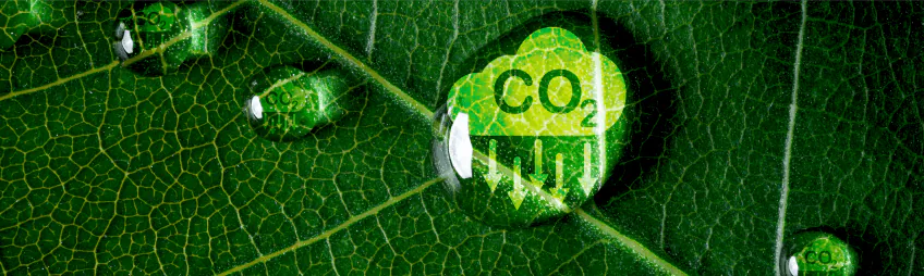 ISO 14046 Su Ayak İzi Doğrulama